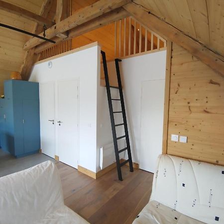 Logement Entre Lac Et Montagne 阿讷西 外观 照片