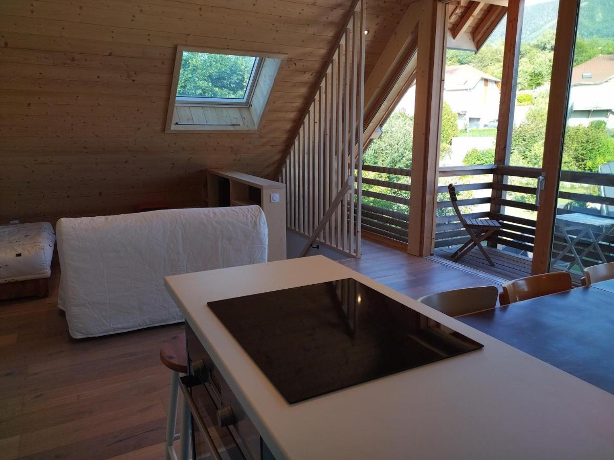 Logement Entre Lac Et Montagne 阿讷西 外观 照片