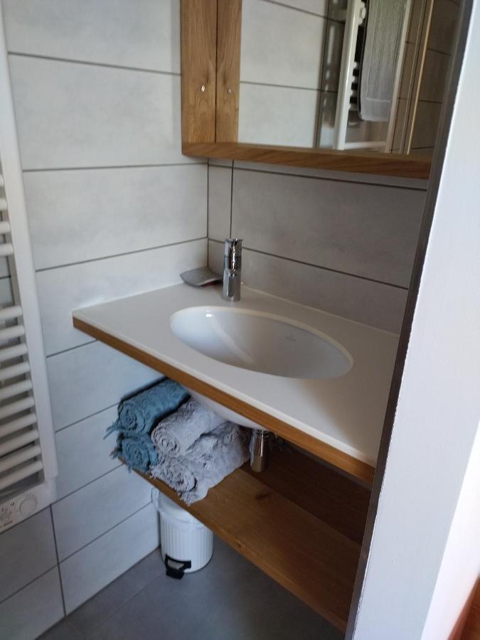 Logement Entre Lac Et Montagne 阿讷西 外观 照片